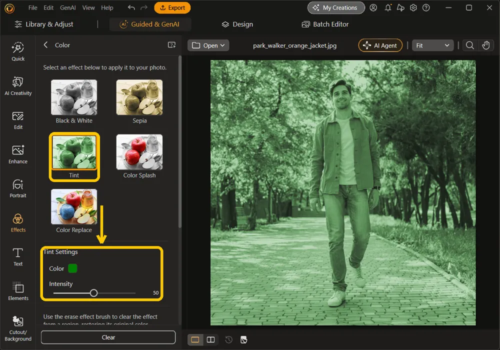 Tint highlighted in the Color panel and the Tint Settings with a green Color swatch and Intensity at 50