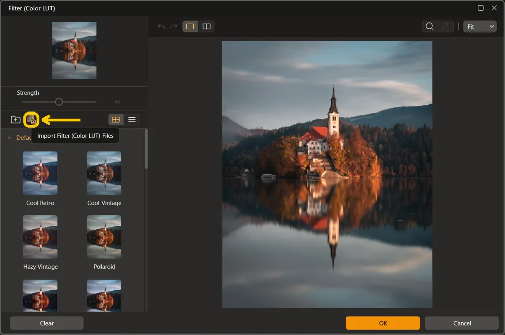 The Import Filter (Color LUT) Files button highlighted under the Strength slider, with its tooltip showing