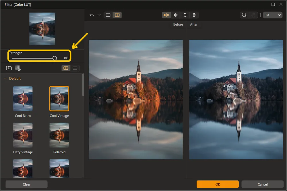 The Strength slider at 100 highlighted in the Filter (Color LUT) window