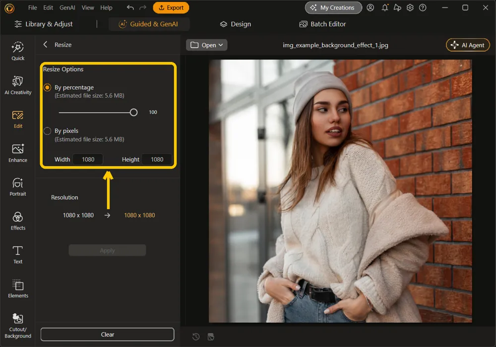 The Resize Options with By percentage and By pixels highlighted, each with an estimated file size