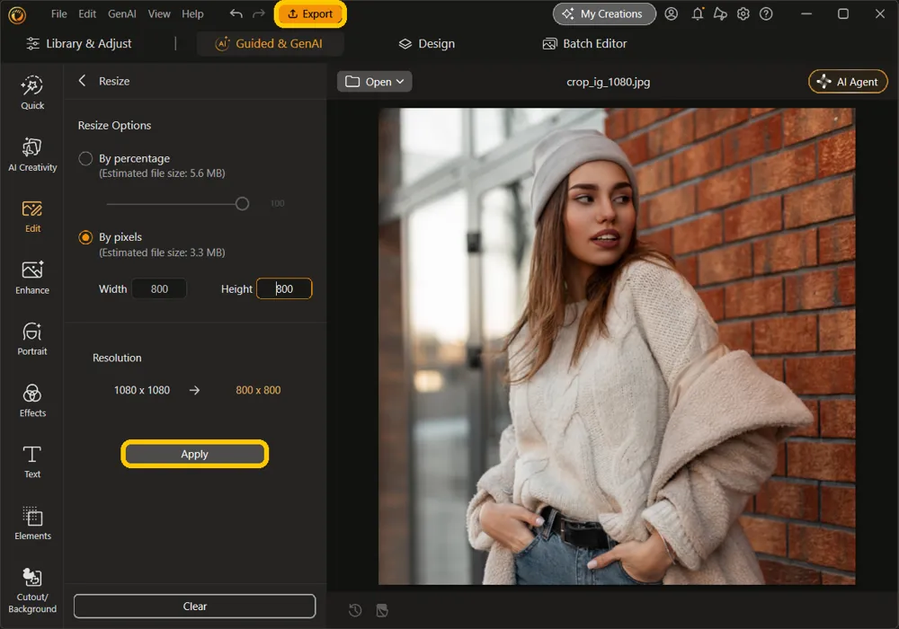 The Apply button in the Resize panel and the Export button at the top of the window highlighted