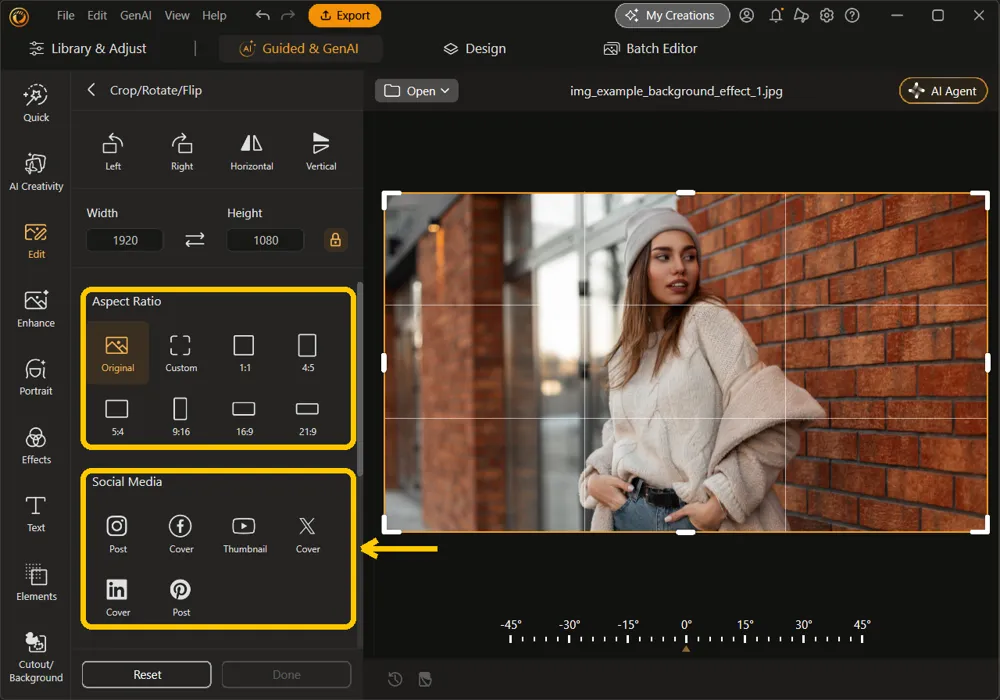 The Aspect Ratio presets and the Social Media presets with platform icons highlighted in the Crop/Rotate/Flip panel