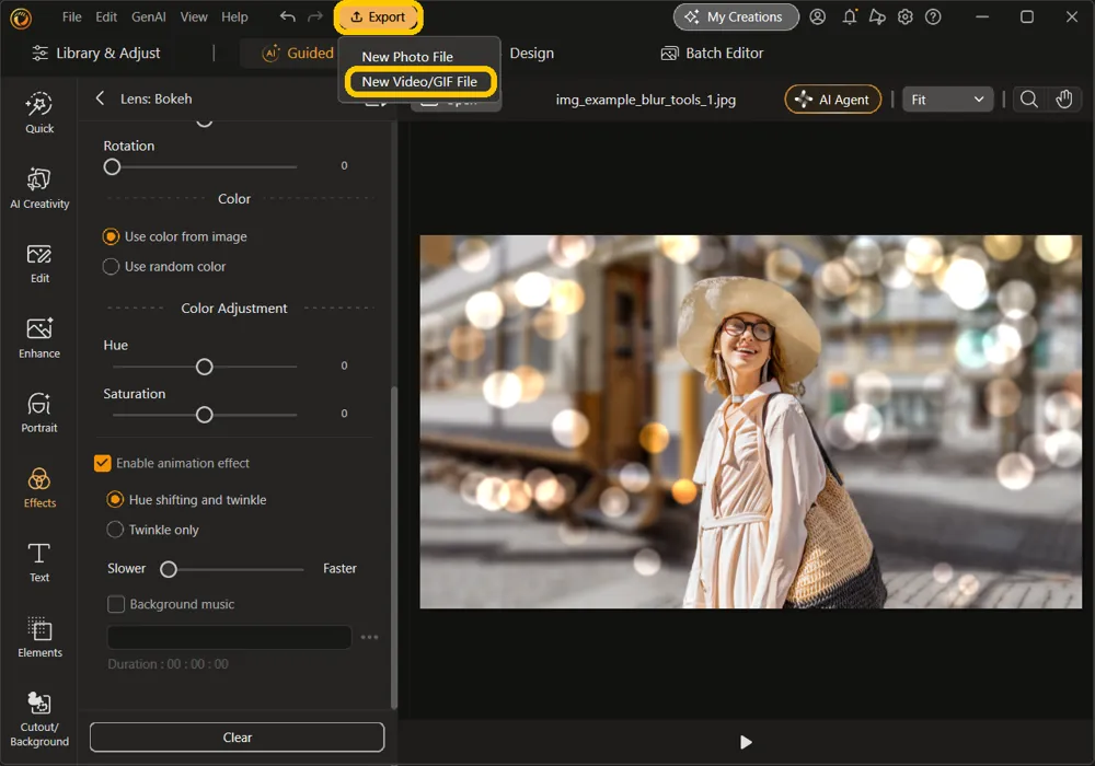 The Export menu open at the top of the window, with Export and New Video/GIF File highlighted