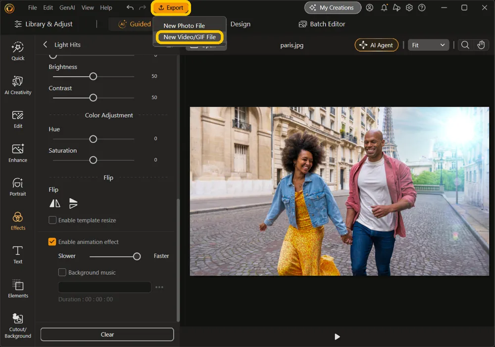The Export menu open, with Export and New Video/GIF File highlighted