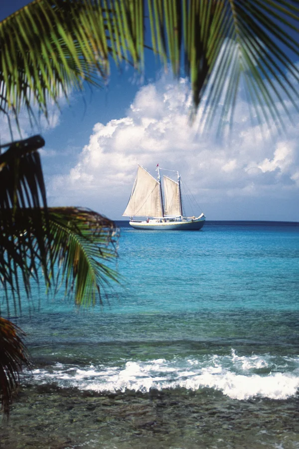 A sailboat on a turquoise sea under white clouds, framed by palm fronds on the left and top