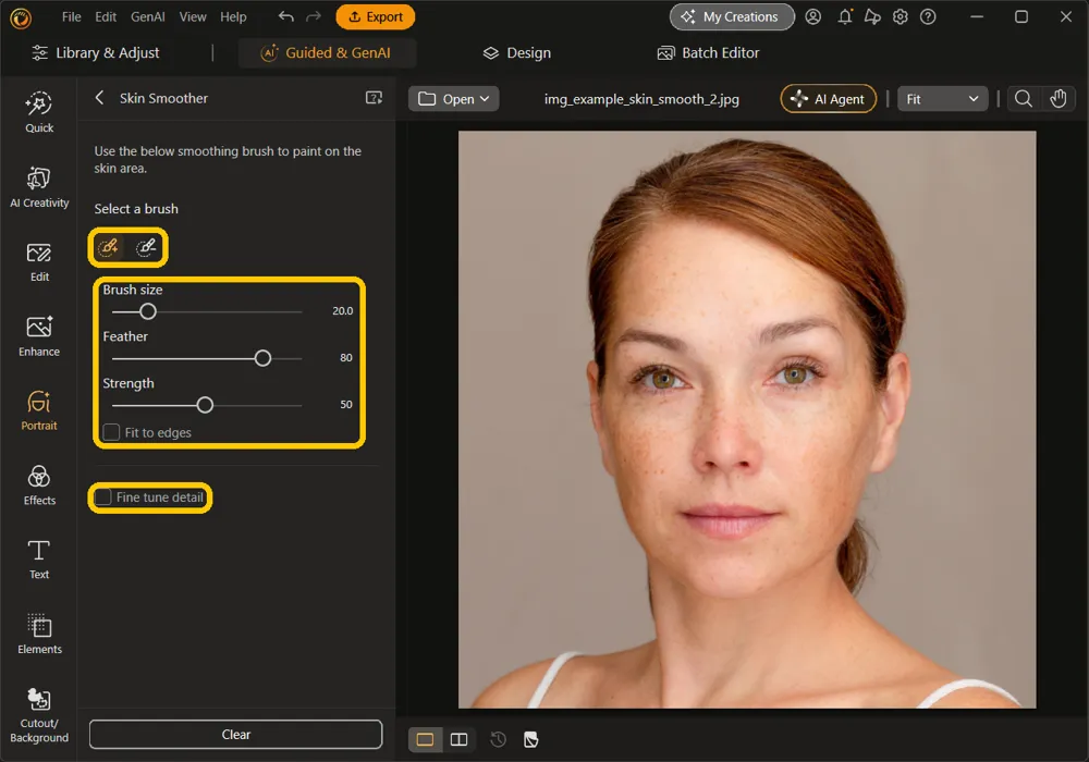 The Skin Smoother panel with the two brush icons, the Brush size, Feather, and Strength sliders with Fit to edges, and Fine tune detail highlighted