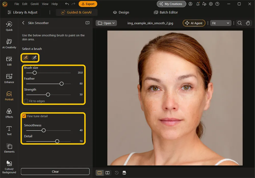 The Skin Smoother panel with the two brush icons, the Brush size, Feather, and Strength sliders with Fit to edges, and Fine tune detail checked with its Smoothness and Detail sliders, all highlighted
