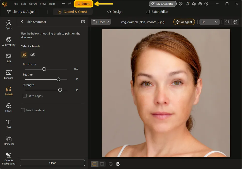 The Skin Smoother panel at Brush size 46.7 and Strength 84, with the Export button highlighted at the top of the window