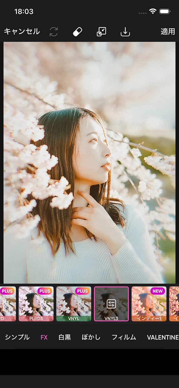 ヴィンテージフィルターサンプル画面 PicsArt