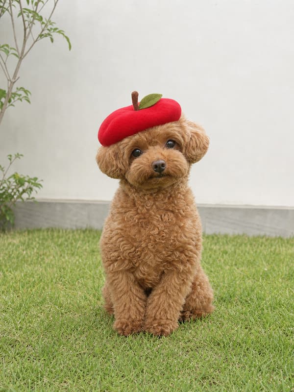 ペットの元画像（毛色や目の特徴がある動物）