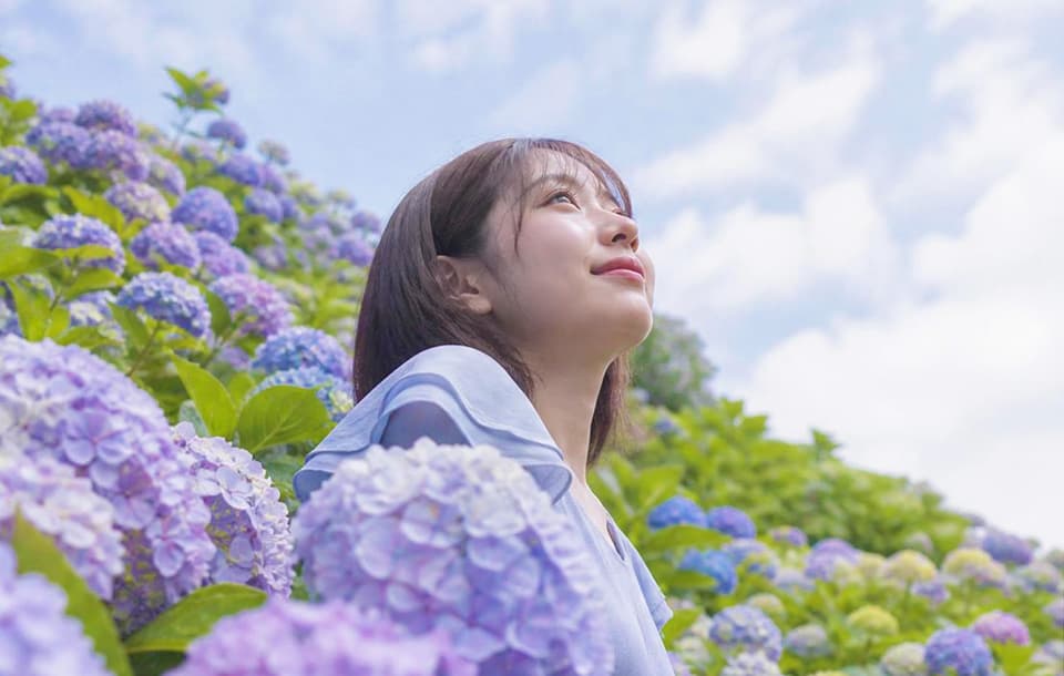 紫陽花ポートレートサンプル