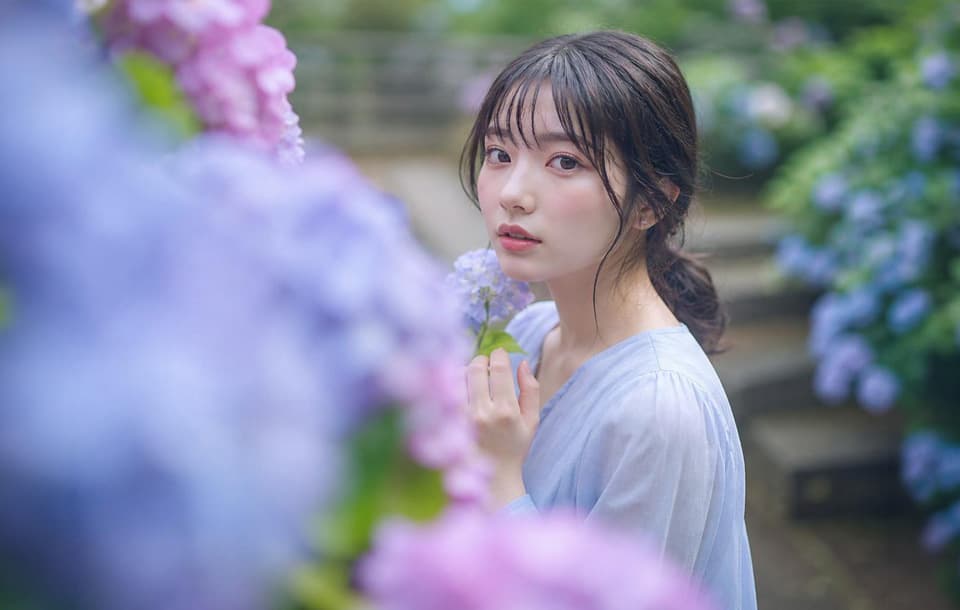 紫陽花ポートレートサンプル
