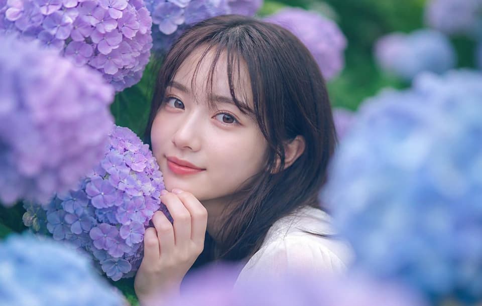 紫陽花ポートレートサンプル