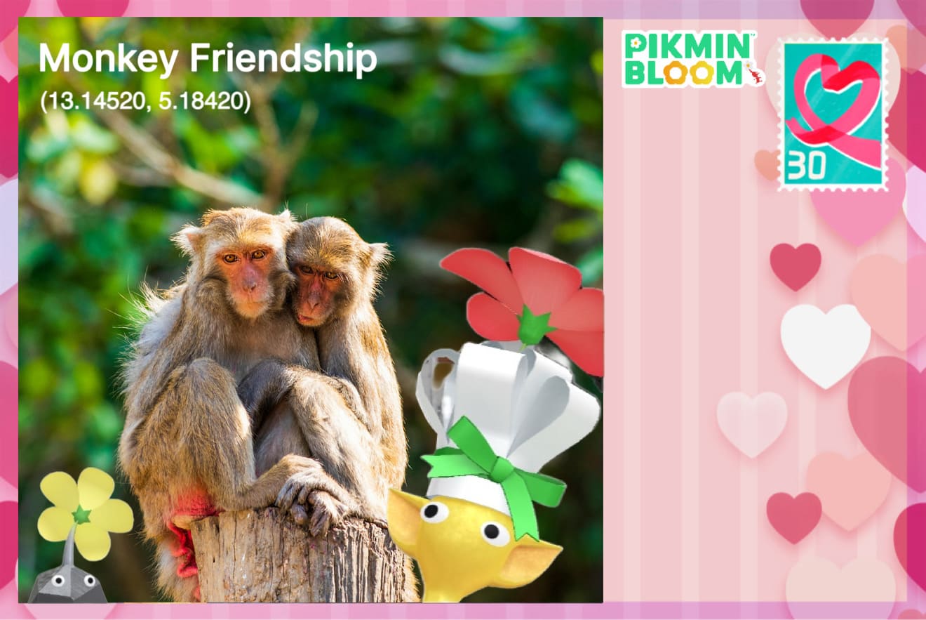 皮克敏明信片製作