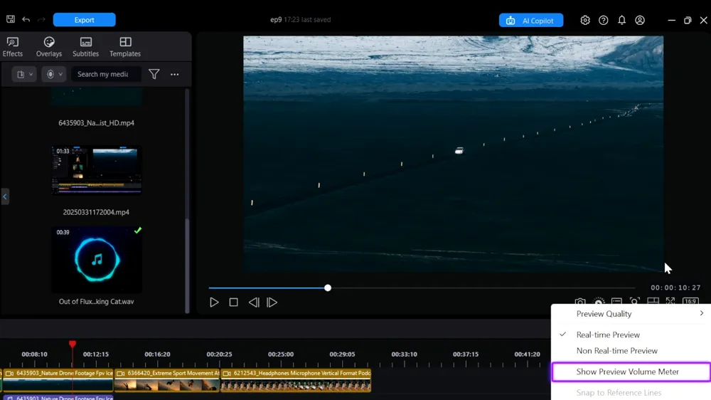 Show Preview Volume Meter highlighted in the preview menu