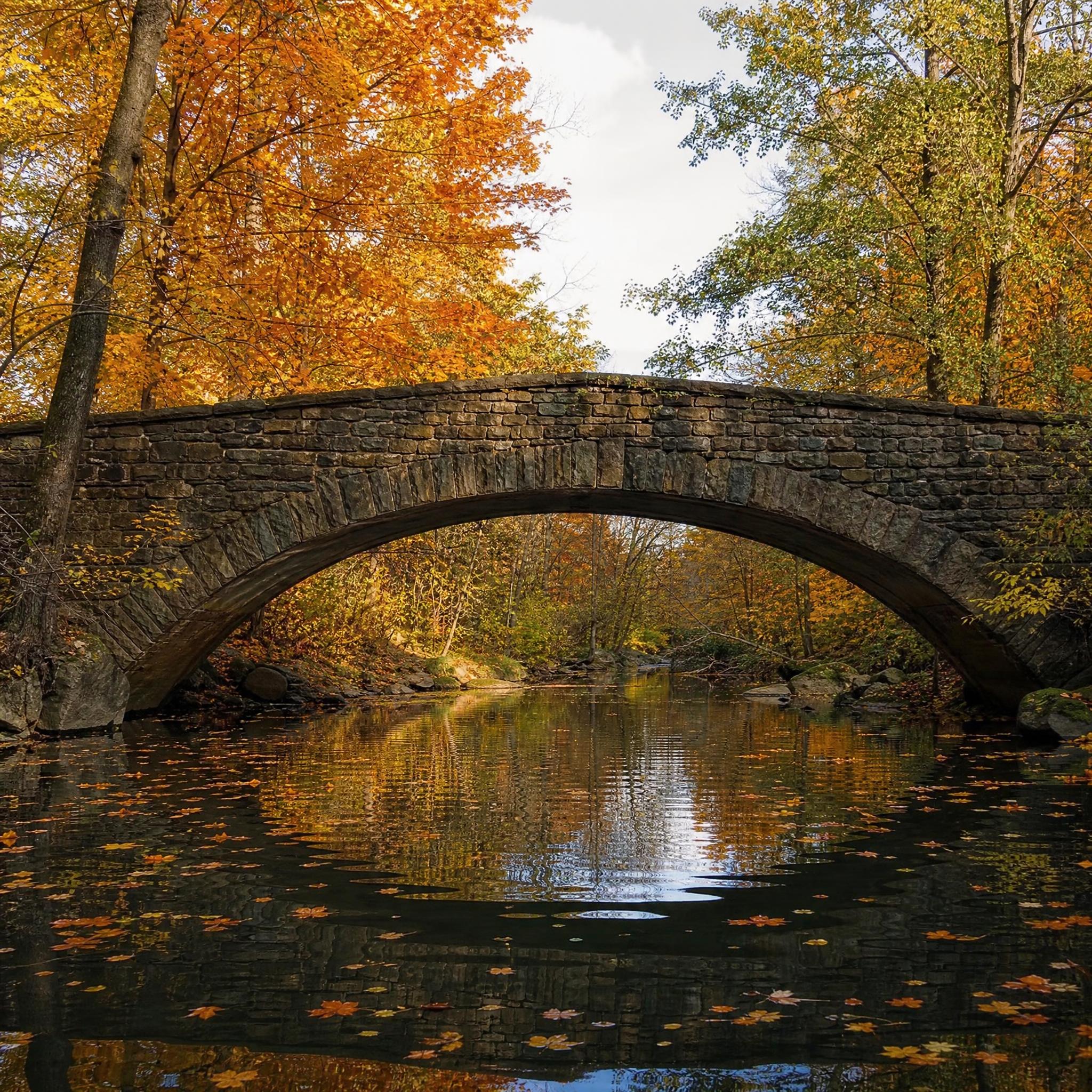 Foto original de un puente de piedra en un bosque de otoño, antes de aplicar el prompt de acuarela en Grok