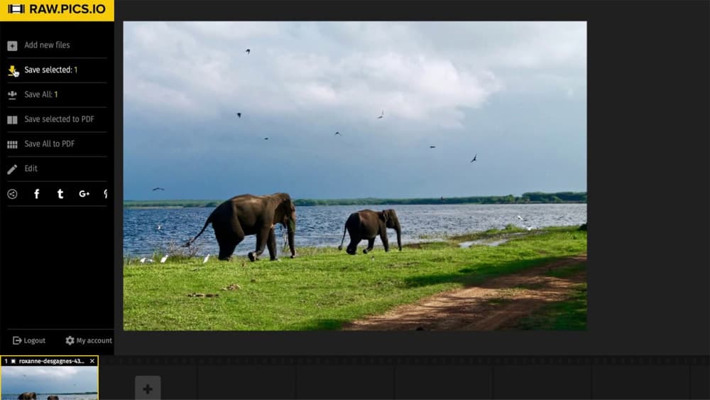 Raw.pics.io Interface