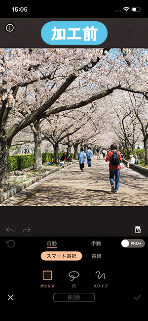 PhotoDirector <span class=