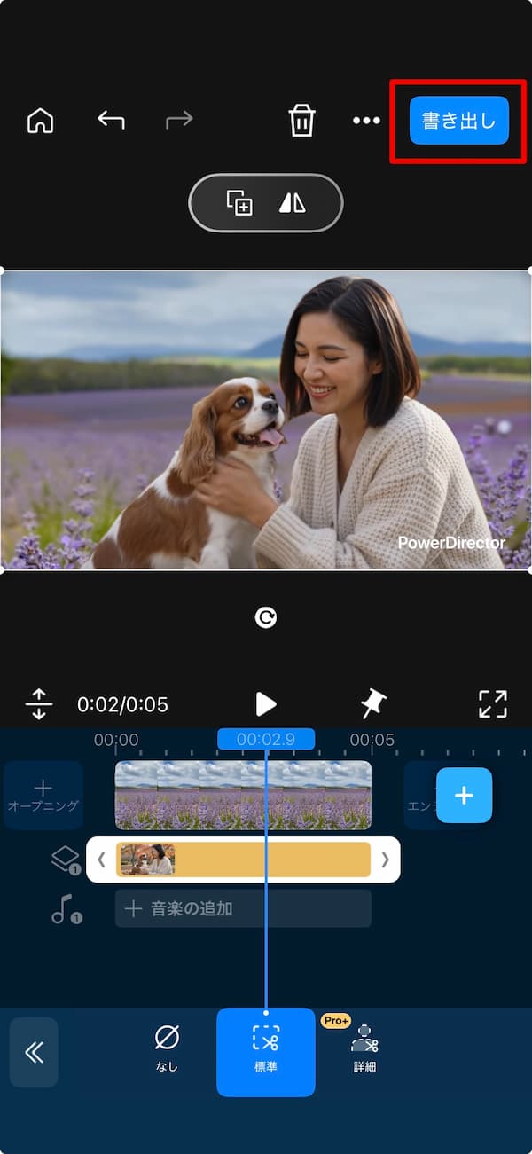 PowerDirector アプリで動画を書きだす方法の画面