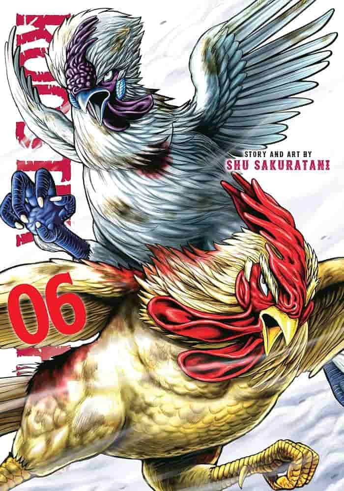 Rooster Fighter Anime