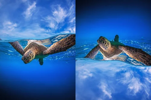 Crea Scene Surreali o da Sogno