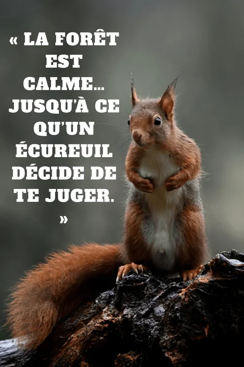 Citations nature drôles