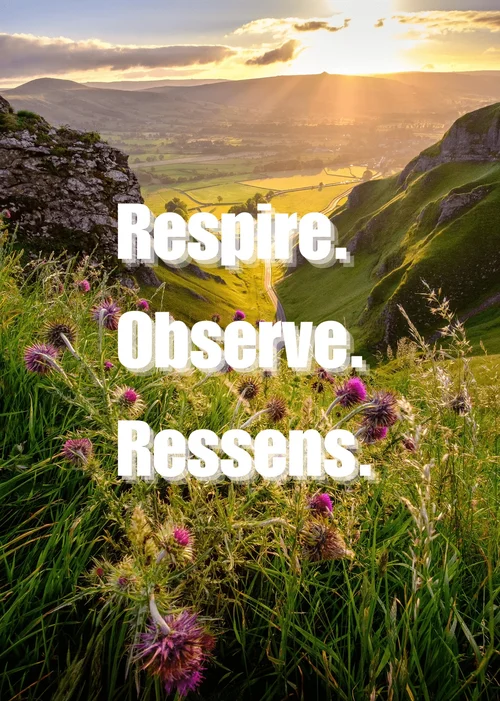 Citations nature courtes