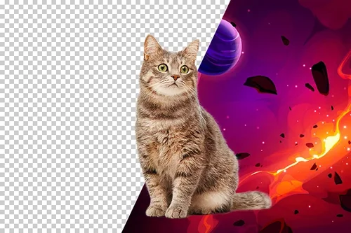 發揮創意自由後製圖片