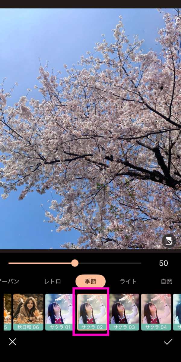 AI で桜の色味補正後の写真