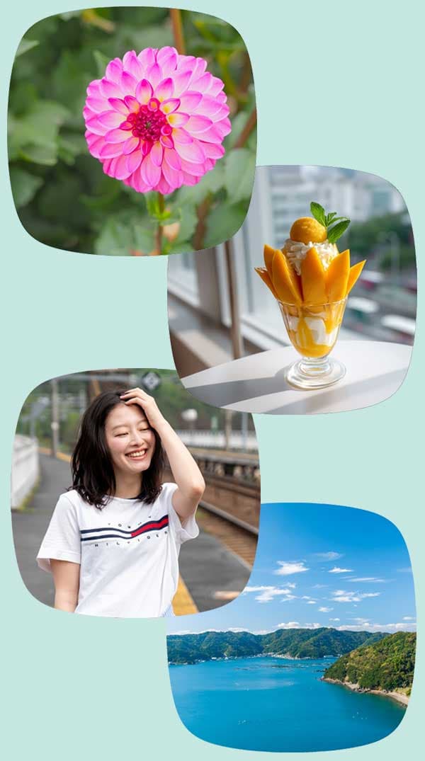 使用したインスタント画像