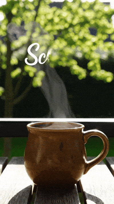 Ein gemütliches animiertes GIF mit einer dampfenden Kaffeetasse auf einem Balkontisch vor einem grünen Baum im Sonnenlicht und der sich langsam einblendenden weißen Schrift Schöne Feiertage.