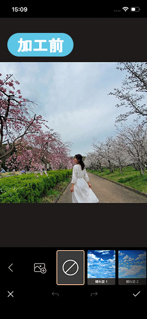 PhotoDirector <span class=