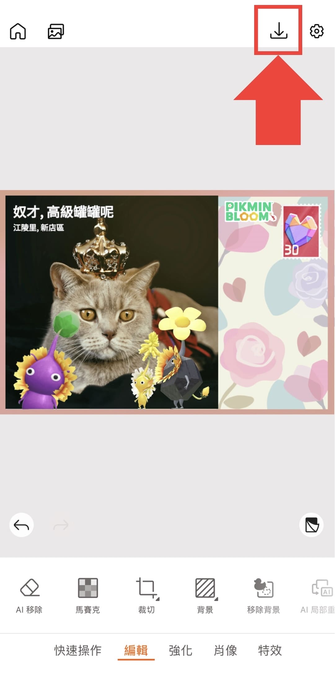 皮克敏明信片製作