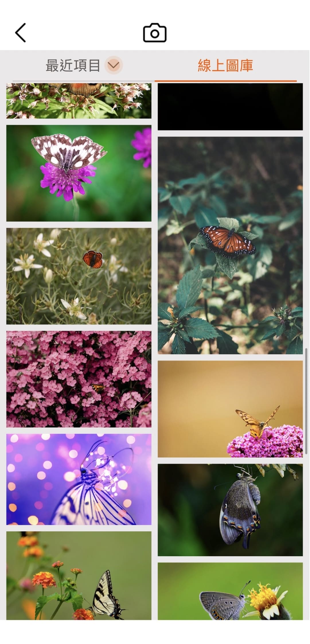 驚蟄早安圖教學