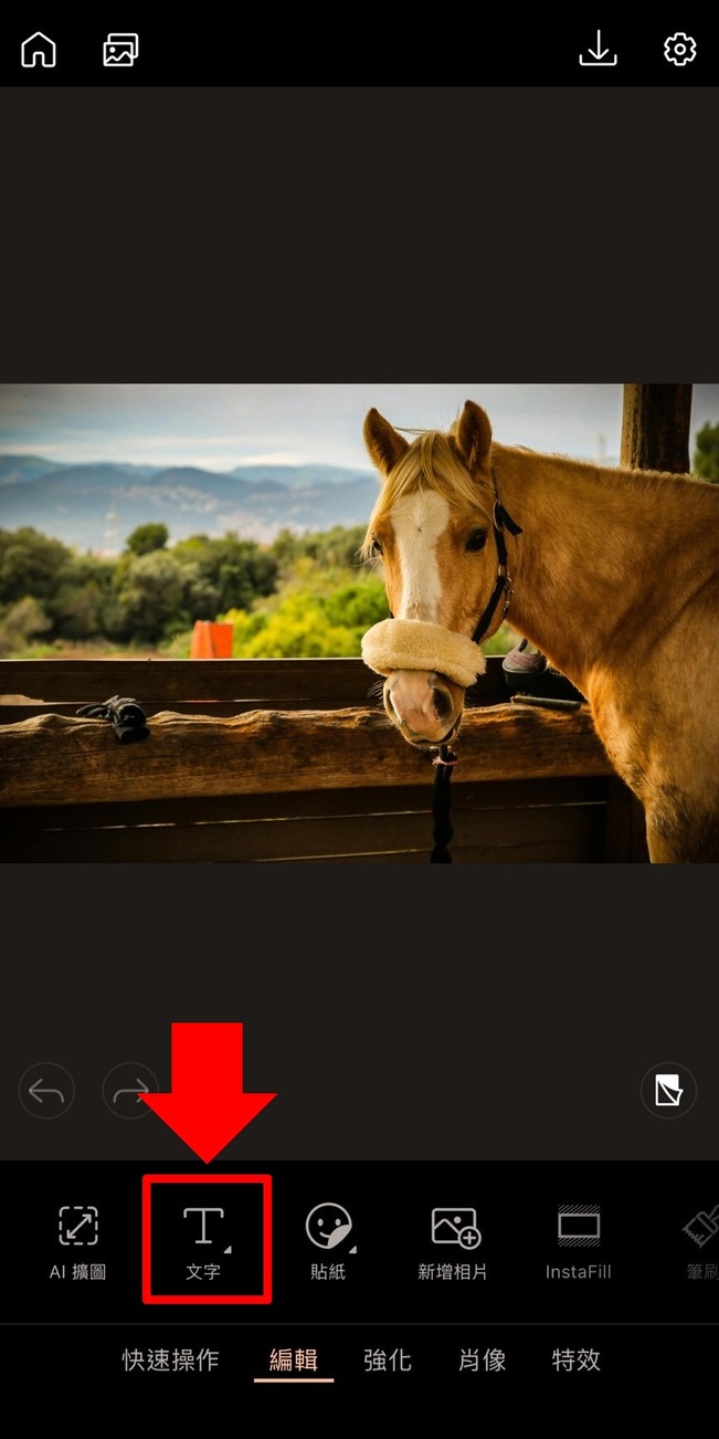 馬年祝賀圖製作