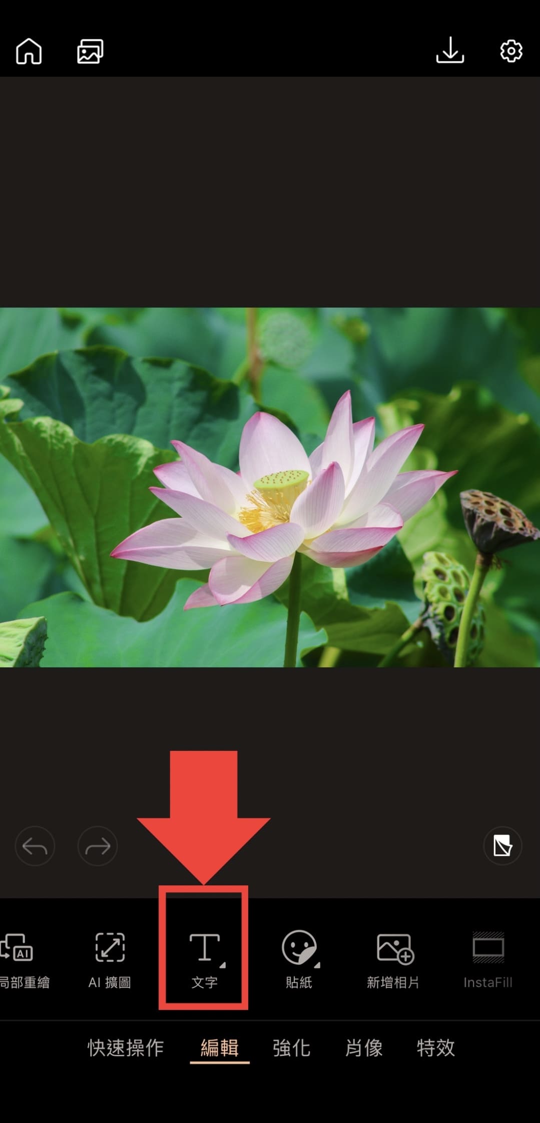 立夏早安圖教學