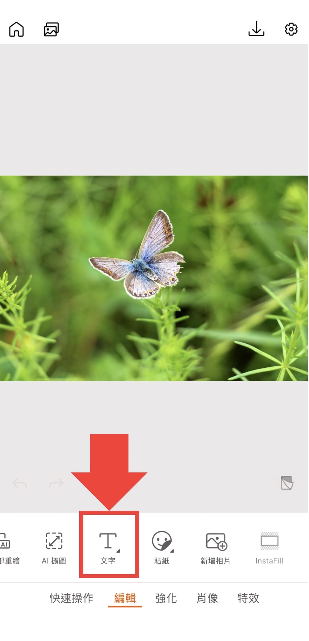 驚蟄早安圖教學