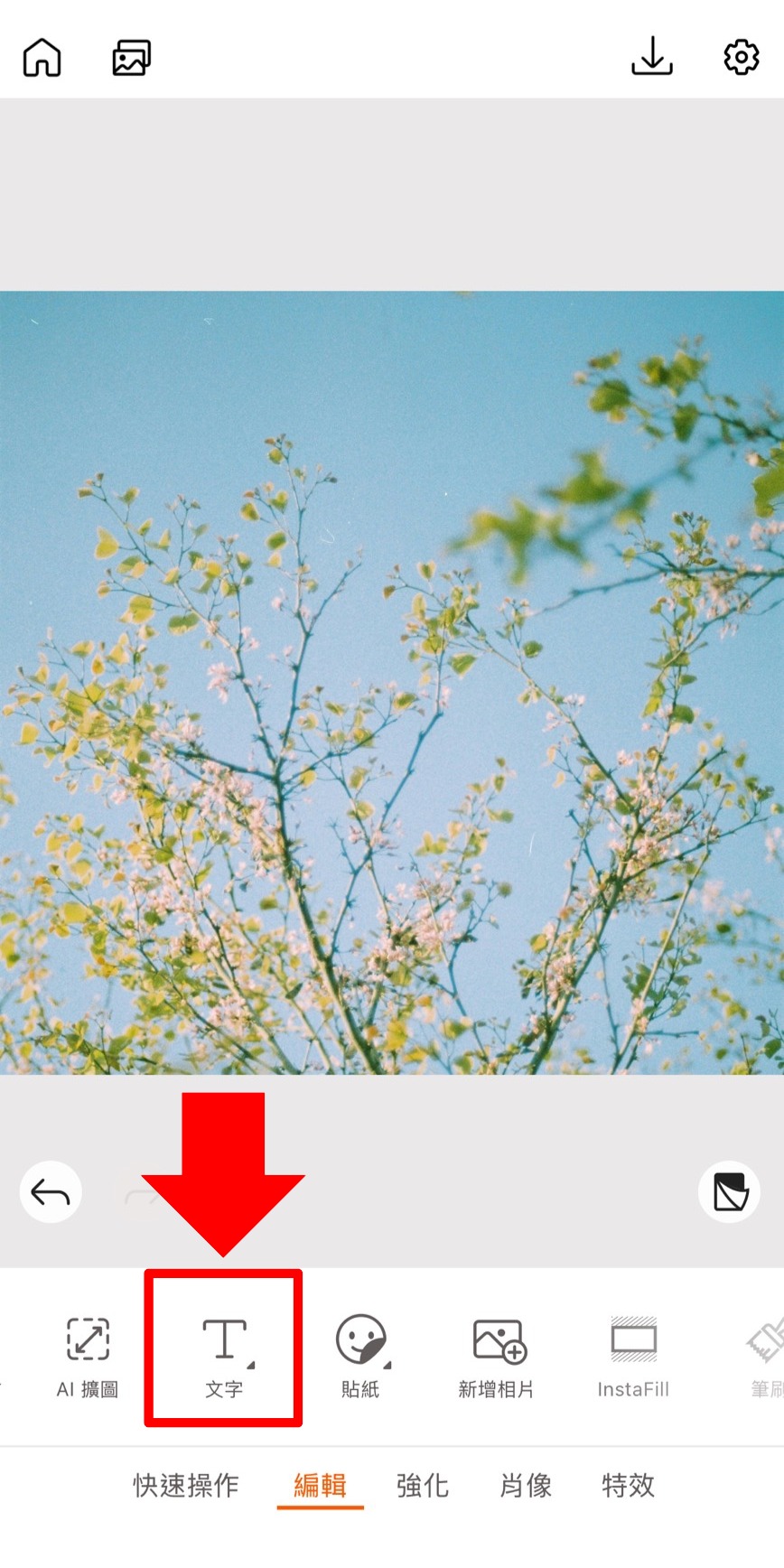 春分早安圖教學