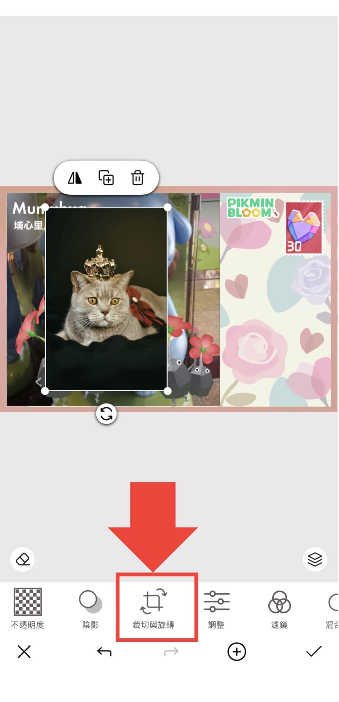 皮克敏明信片製作