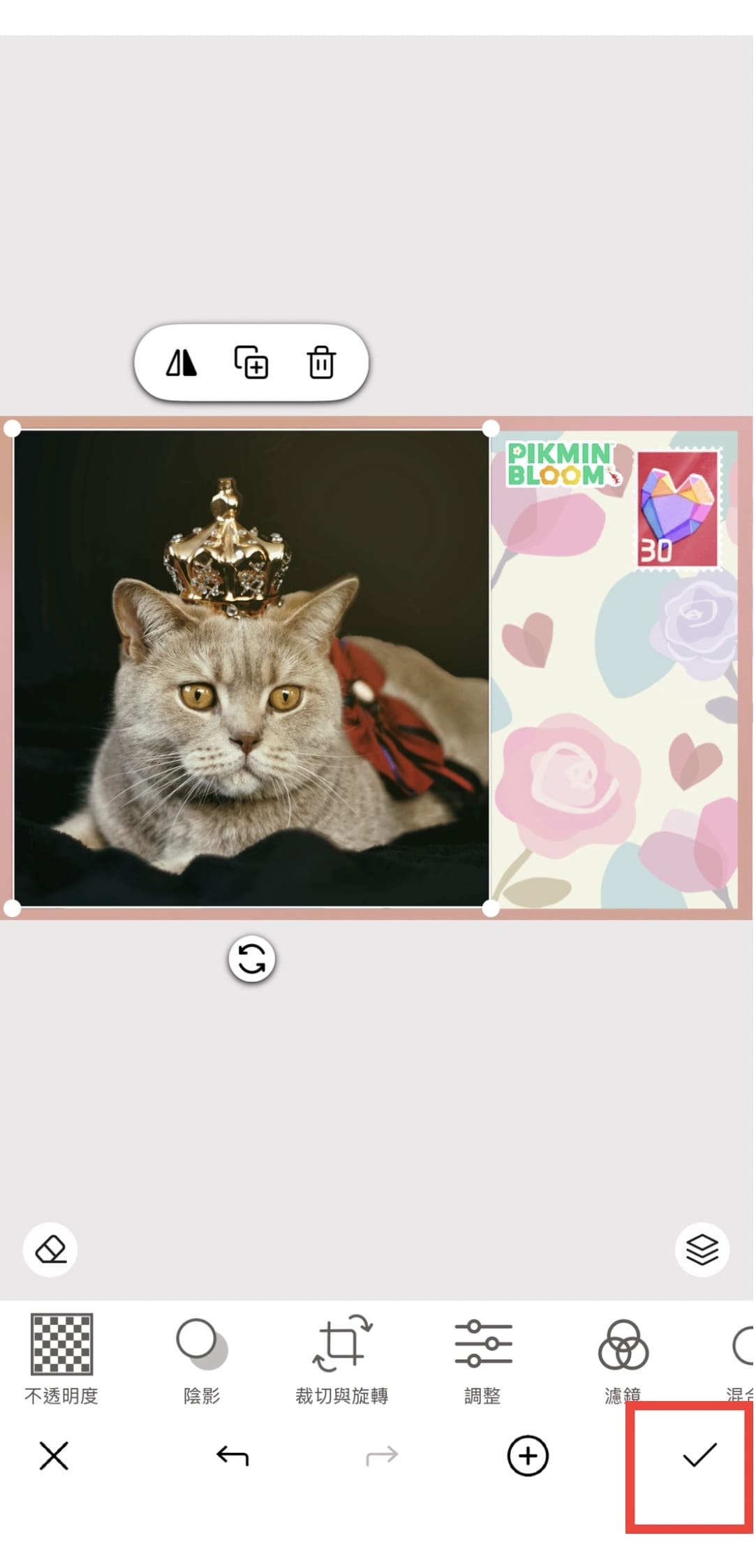 皮克敏明信片製作