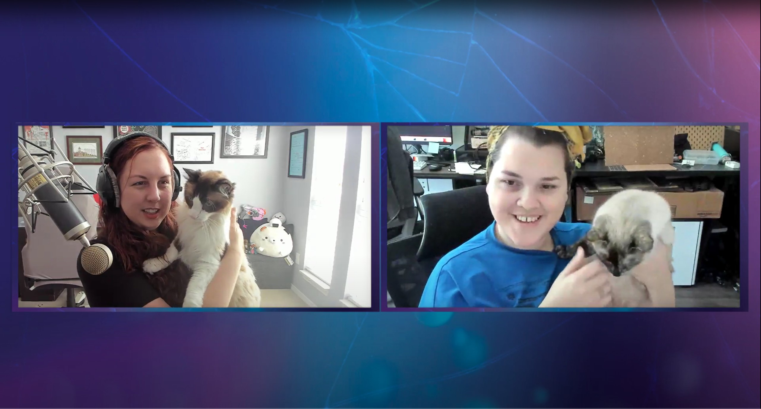 Streamlabs Interface