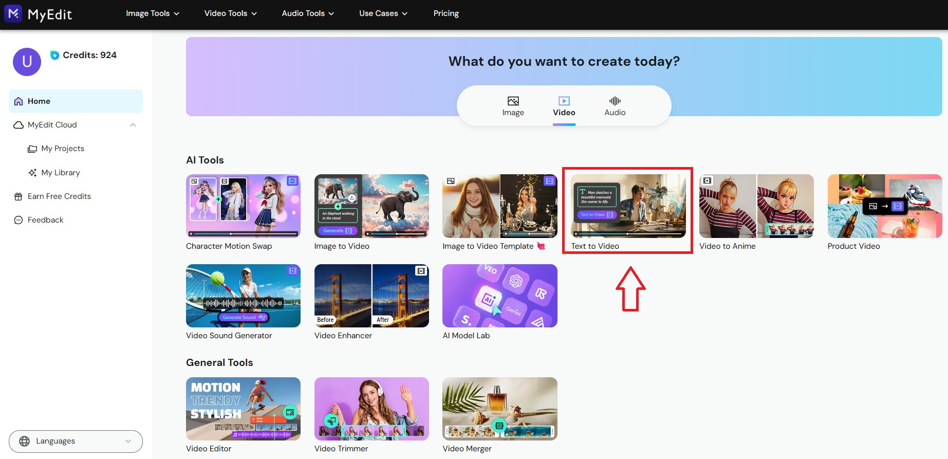 Create Funny Cat Videos from Text Prompts