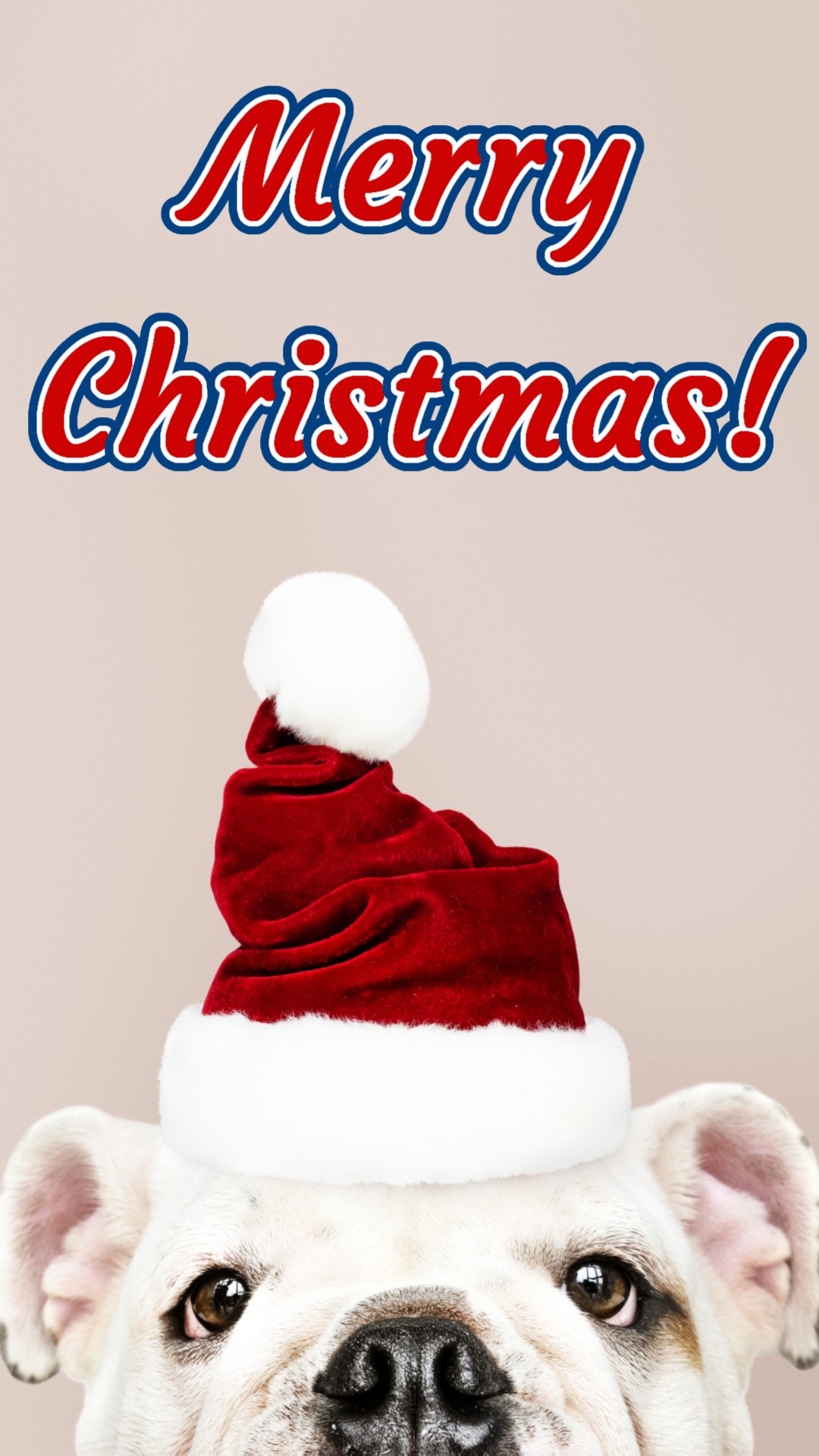 Tarjeta de navidad generada con Promeo