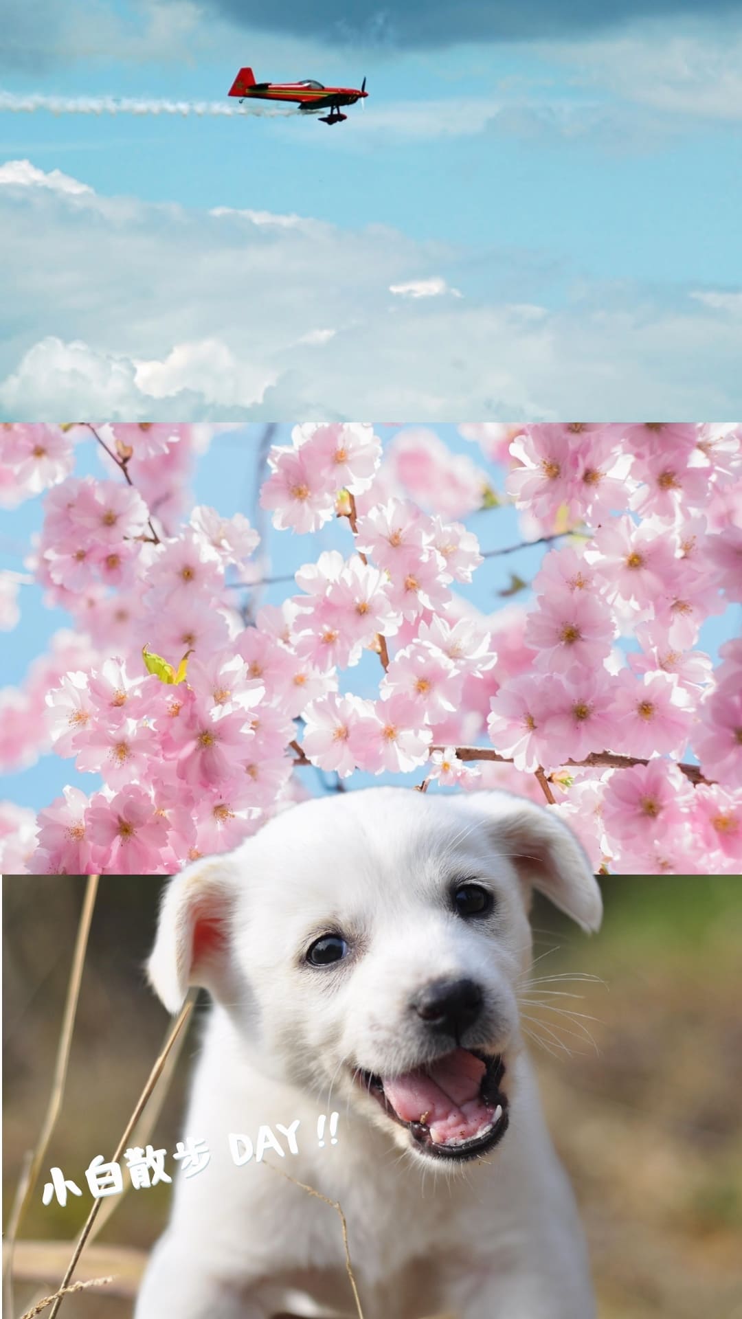 IG特殊字體中文：何某手寫體