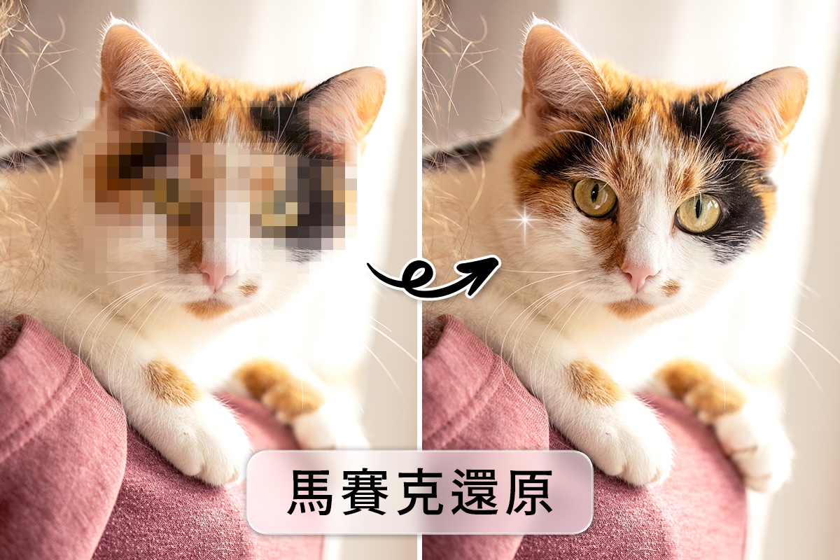 馬賽克還原工具推薦：教你輕鬆去除馬賽克還原照片！