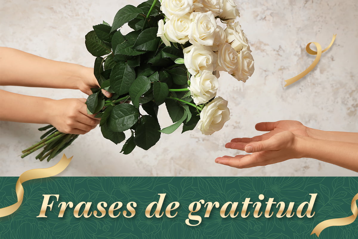 150 Frases de agradecimiento para usar en cualquier ocasión