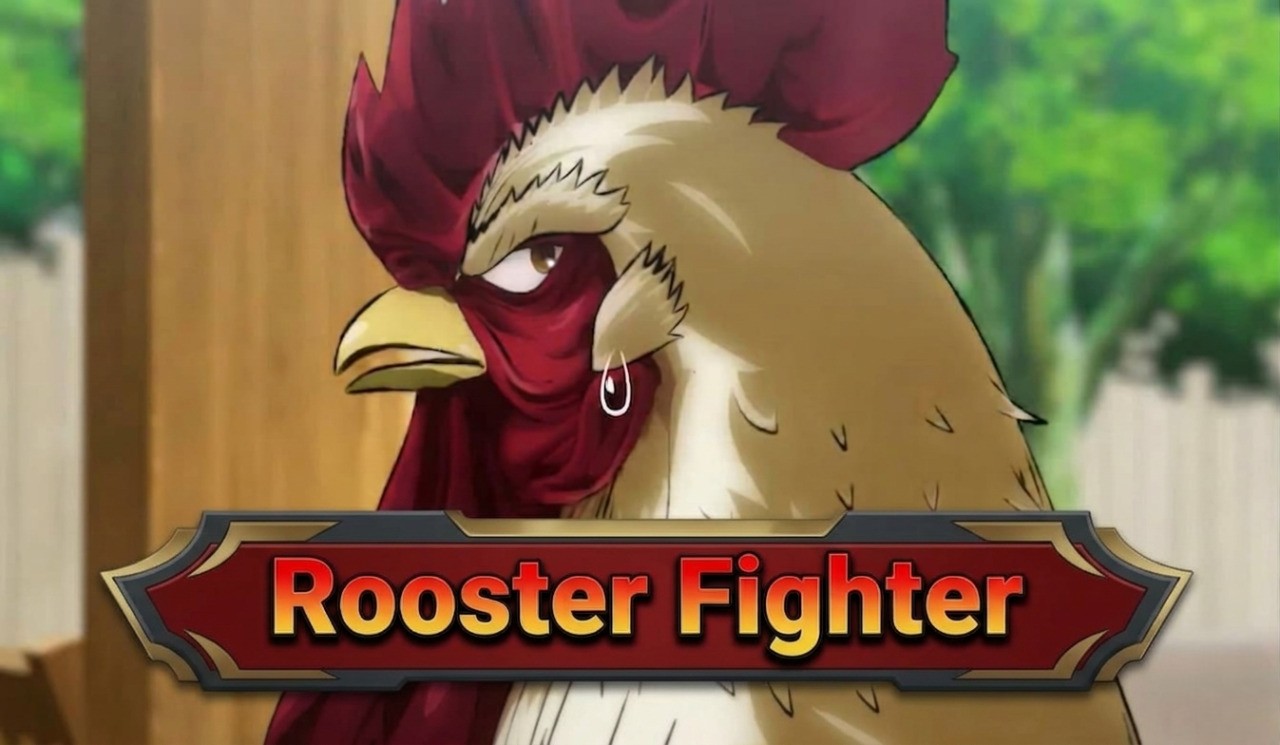 치킨 파이터란? 지금 전 세계를 열광시키는 수탉 애니메이션 완벽 정리