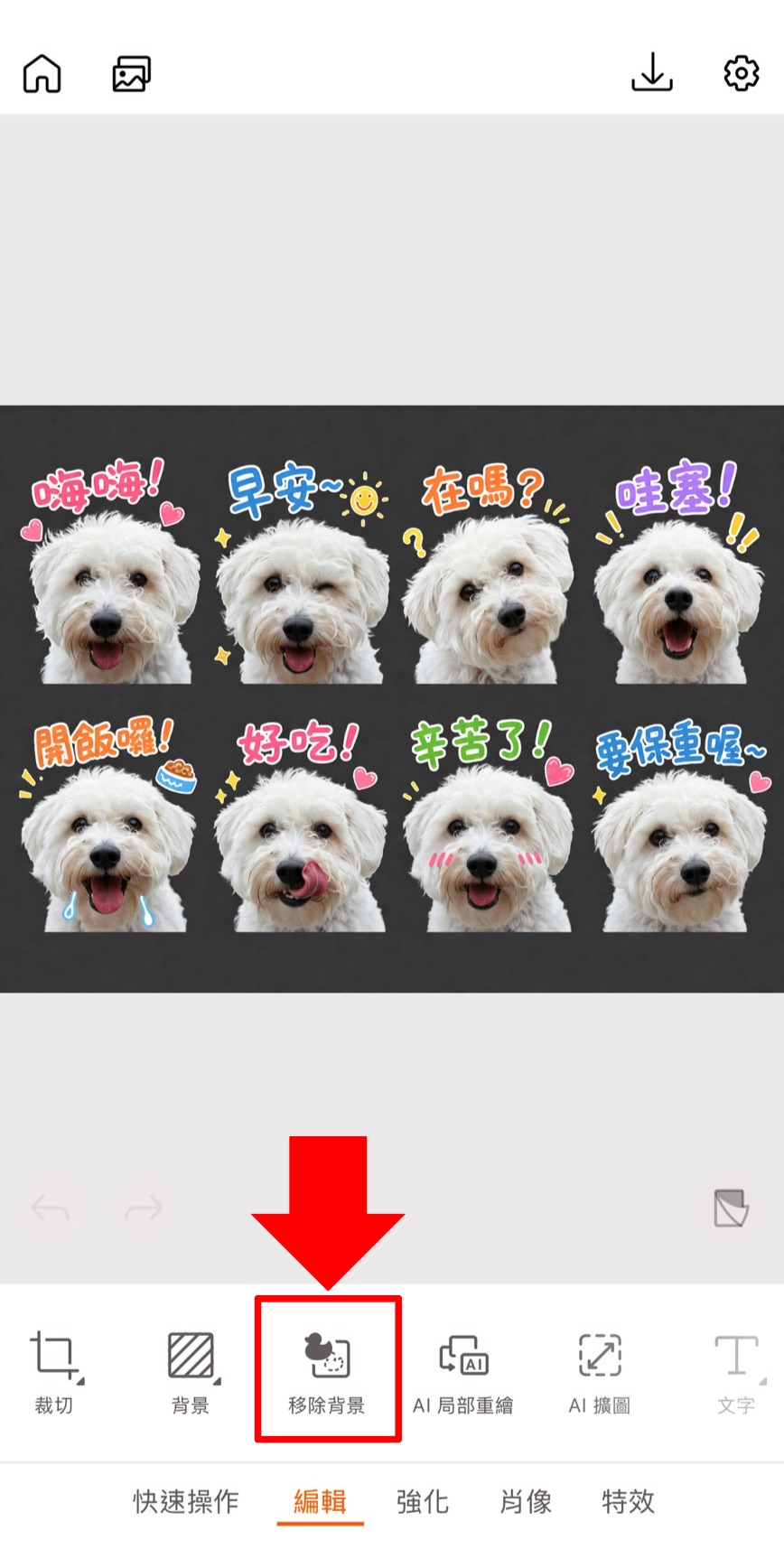 相片大師 line貼圖製作編輯