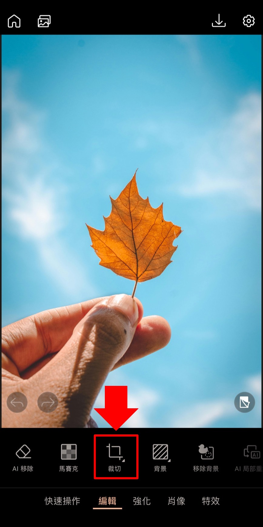 長輩圖製作教學