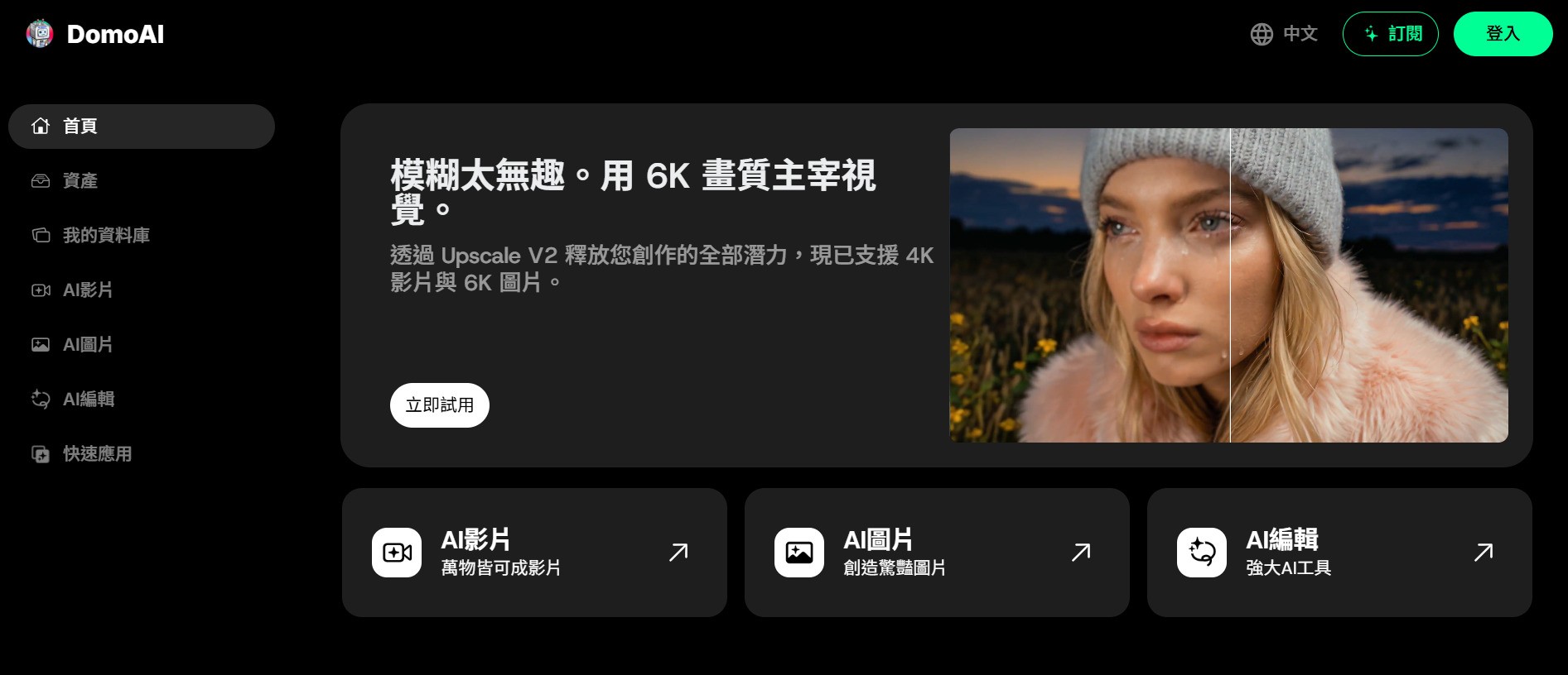 Domo AI 影片生成製作